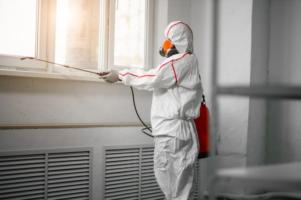 Professional mold remediation services in Rolling Meadows, IL